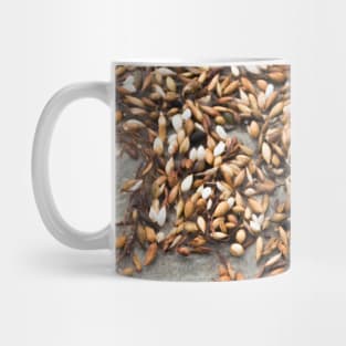 Seaweeds Mug